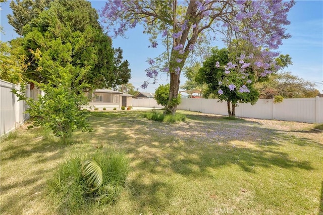 455 E Wilson St, Rialto, CA 92376 - view of fenced backyard