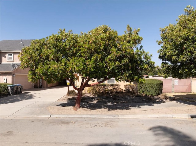 249 Colt Ln, Nipomo, CA 93444 - view of property hidden behind natural elements featuring concrete driveway