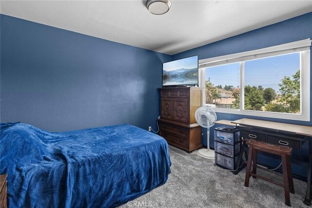 1941 Myrtlewood Ave, Colton, CA 92324 - photo 25