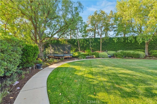 2937 Arboridge Ct, Fullerton, CA 92835 - view of property's community featuring a trampoline and a yard
