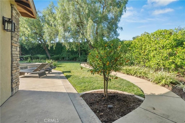 2937 Arboridge Ct, Fullerton, CA 92835 - view of grassy yard with a patio area