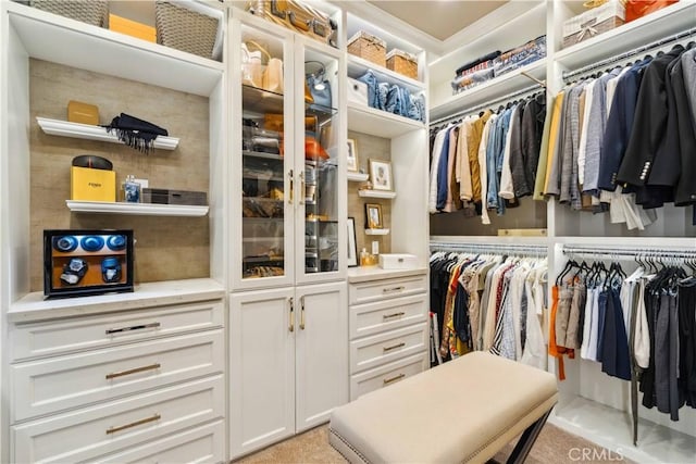 2937 Arboridge Ct, Fullerton, CA 92835 - view of walk in closet