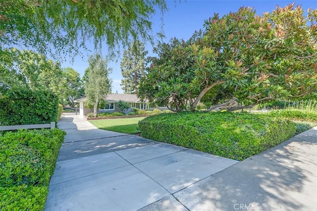 252 W 15th St, Upland, CA 91786 - view of front of home