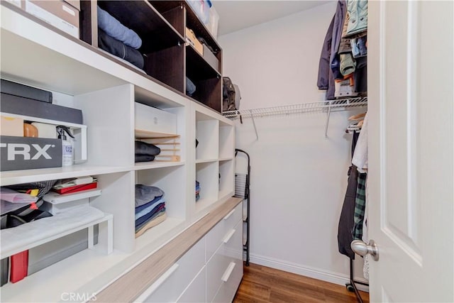 500 Tropea Aisle, Irvine, CA 92606 - spacious closet featuring wood finished floors