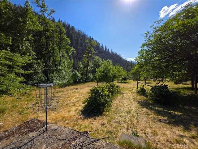 50721 State Highway 96, Klamath River, CA 96086 - photo 37