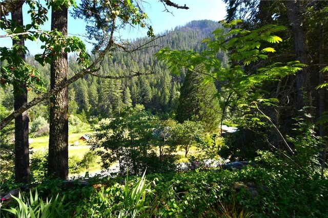 50721 State Highway 96, Klamath River, CA 96086 - photo 29