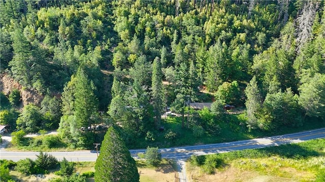 50721 State Highway 96, Klamath River, CA 96086 - photo 28