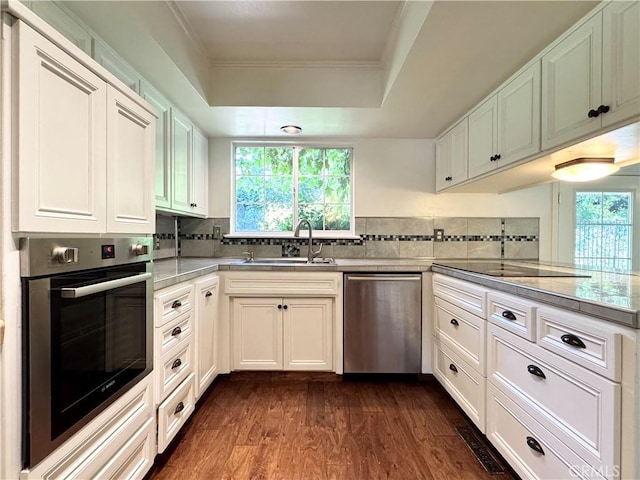 2817 San Verbena Way, Chico, CA 95973 - kitchen featuring stainless steel appliances, a tray ceiling, ornamental molding, dark wood finished floors, and tasteful backsplash