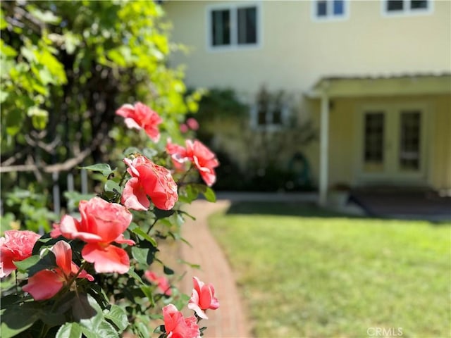 2817 San Verbena Way, Chico, CA 95973 - view of yard