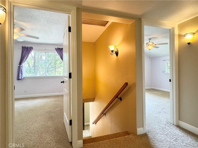 2817 San Verbena Way, Chico, CA 95973 - staircase with carpet, a ceiling fan, and a textured ceiling