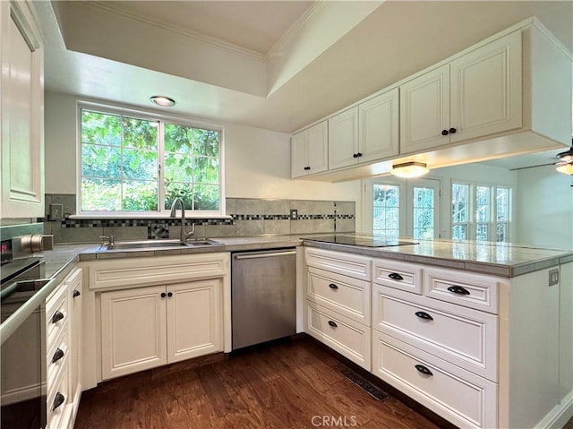 2817 San Verbena Way, Chico, CA 95973 - kitchen with dishwasher, a peninsula, dark wood-type flooring, crown molding, and healthy amount of natural light