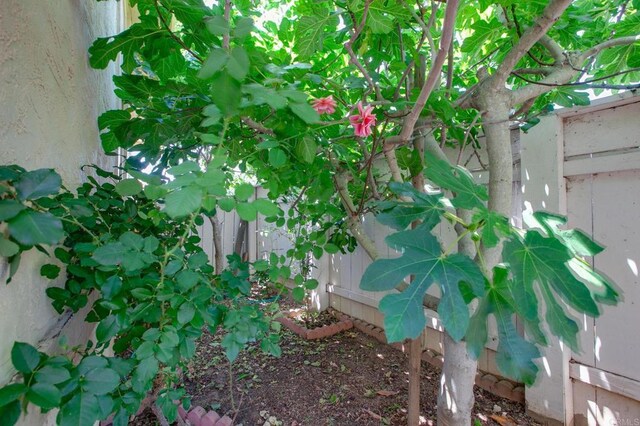 10434 Claudia Ave, Santee, CA 92071 - photo 24
