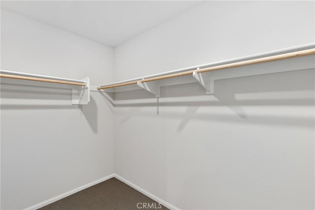 36390 W Flare, Winchester, CA 92569 - walk in closet featuring dark colored carpet
