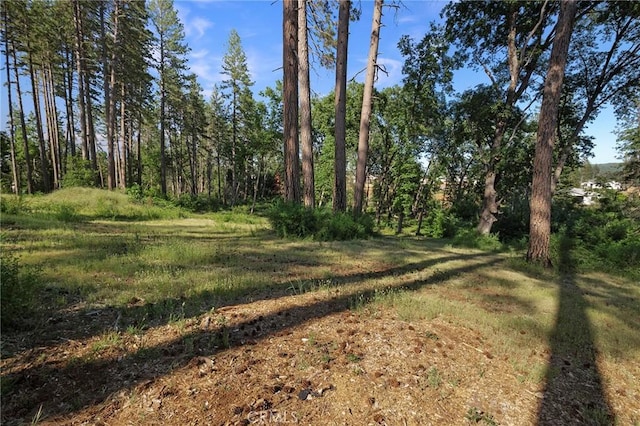 6344 Forest Ln, Paradise, CA 95969