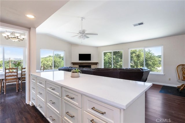 4725 Arena Ave, Atascadero, CA 93422 - kitchen featuring dark wood-type flooring, healthy amount of natural light, open floor plan, a ceiling fan, and vaulted ceiling