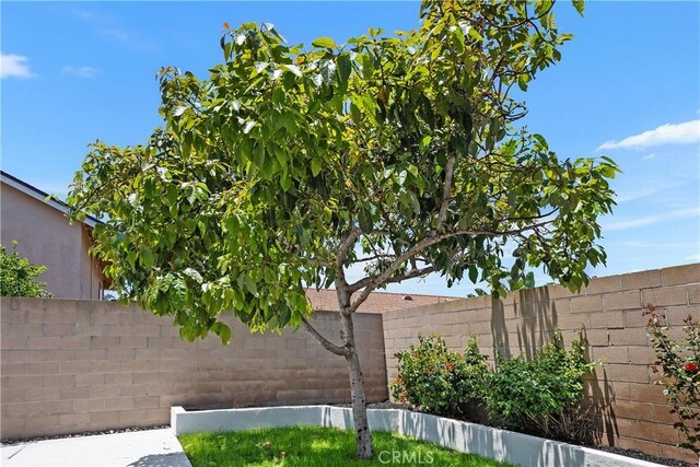 3614 S Olive St, Santa Ana, CA 92707 - photo 41