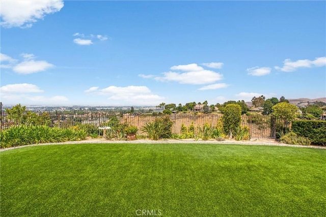 1835 Hilltop Dr, Colton, CA 92324 - view of yard
