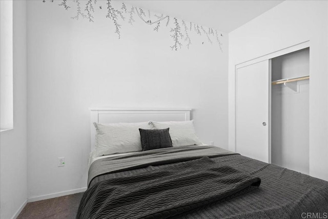 5265 Beachfront Cove St Unit 167, San Diego, CA 92154 - bedroom with carpet and a closet
