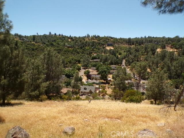 4736 Iroquois Trl, Kelseyville, CA 95451 - photo 2