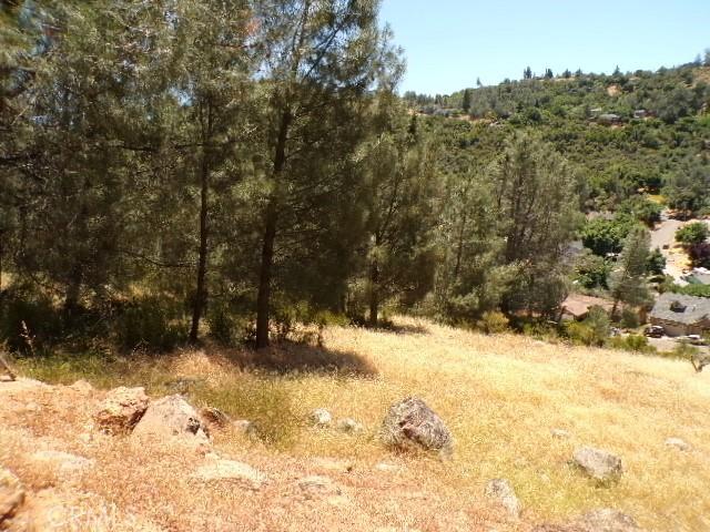 4736 Iroquois Trl, Kelseyville, CA 95451 - photo 1