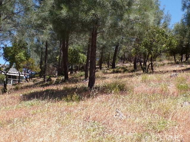 4898 Lassen Way, Kelseyville, CA 95451 - photo 2