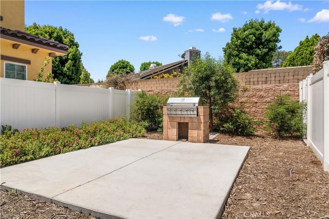 1379 Point Loma Pl, Walnut, CA 91789 - fenced backyard with a patio and area for grilling