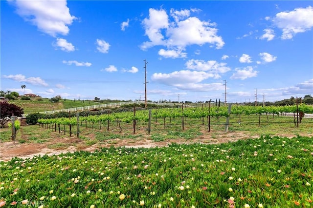 36090 Monte De Oro Rd, Temecula, CA 92592 - view of yard featuring a rural view and agricultural plots