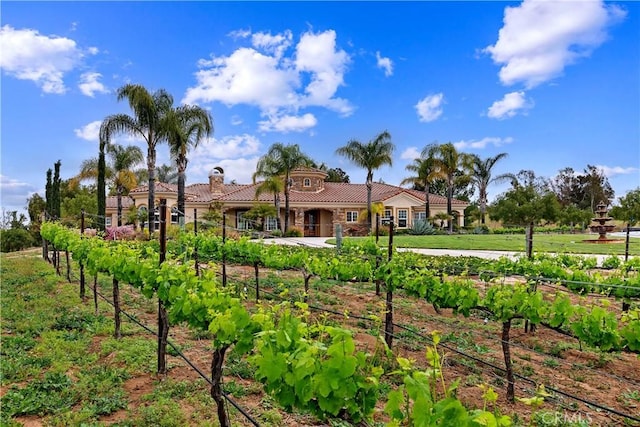 36090 Monte De Oro Rd, Temecula, CA 92592 - view of front facade featuring a garden, a tiled roof, and a chimney