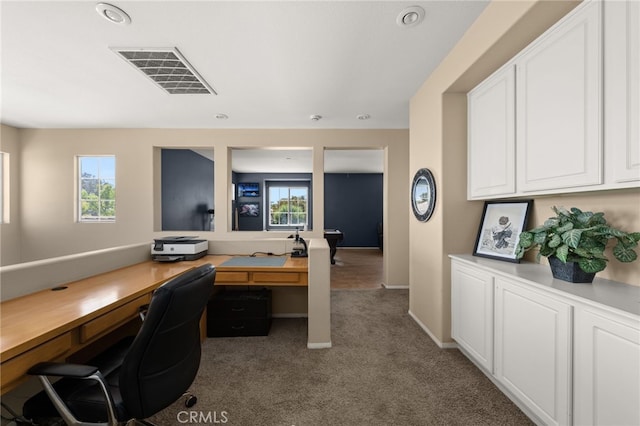8800 Camino Limon Rd, Corona, CA 92883 - photo 40