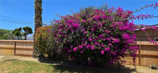 509 N 3rd St, Lompoc, CA 93436 - view of fenced yard