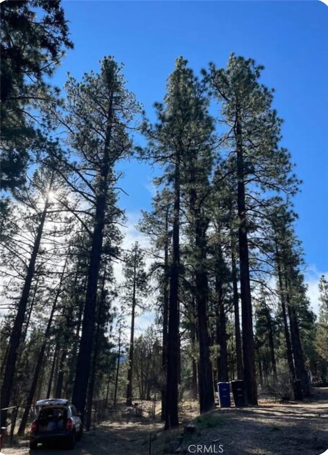 605 Kean Way, Big Bear City, CA 92314 - view of road with a view of trees