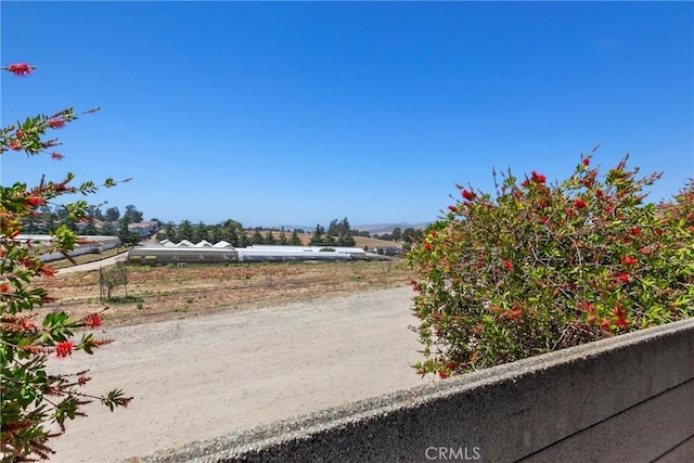 662 January St, Nipomo, CA 93444 - view of yard