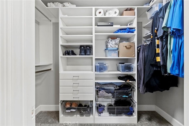 662 January St, Nipomo, CA 93444 - view of spacious closet