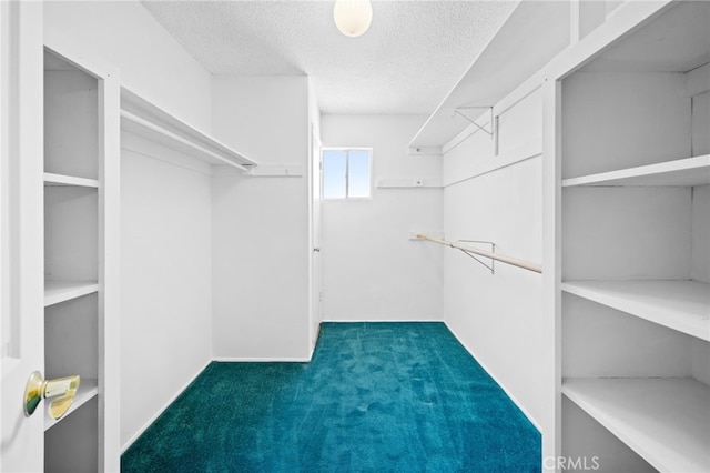75406 Montecito Dr, Indian Wells, CA 92210 - spacious closet featuring carpet floors