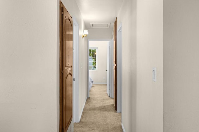5530 Heidi St, La Mesa, CA 91942 - corridor with light carpet and attic access