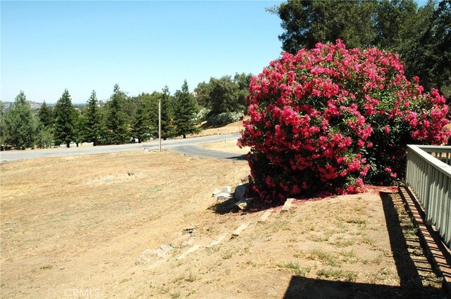 30717 Seminole Dr, Coarsegold, CA 93614 - view of yard