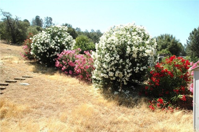 30717 Seminole Dr, Coarsegold, CA 93614 - view of yard