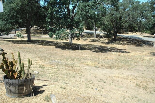 30717 Seminole Dr, Coarsegold, CA 93614 - view of yard
