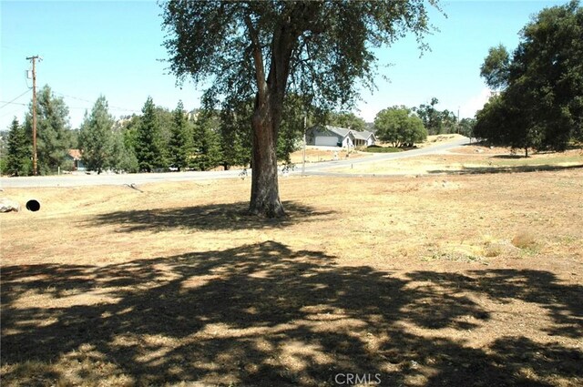30717 Seminole Dr, Coarsegold, CA 93614 - view of yard