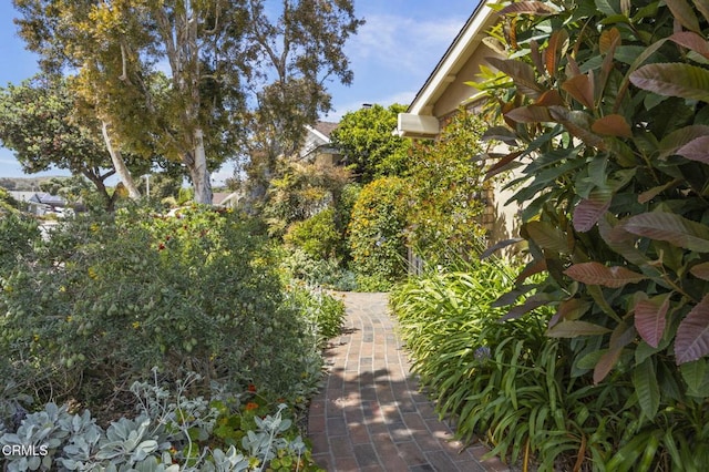290 Heidelberg Ave, Ventura, CA 93003 - photo 49