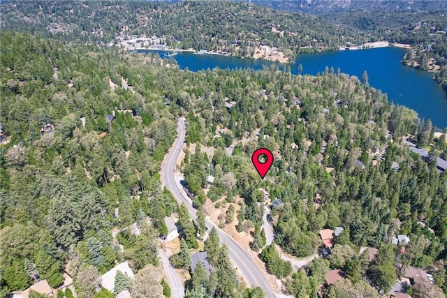 24495 Geneva Dr, Crestline, CA 92325 - photo 43