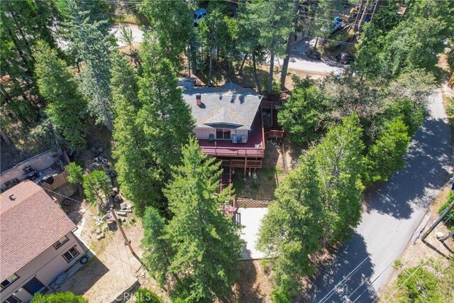 24495 Geneva Dr, Crestline, CA 92325 - photo 45
