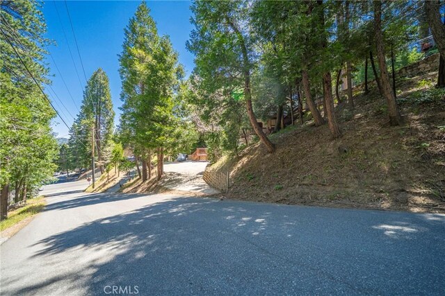 24495 Geneva Dr, Crestline, CA 92325 - photo 39