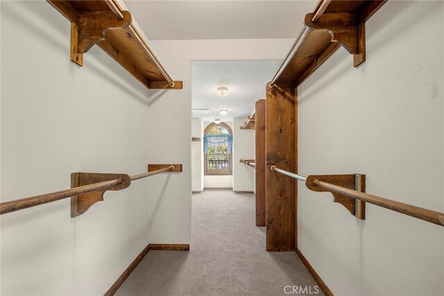 7580 E Martella Ln, Anaheim Hills, CA 92808 - walk in closet featuring carpet