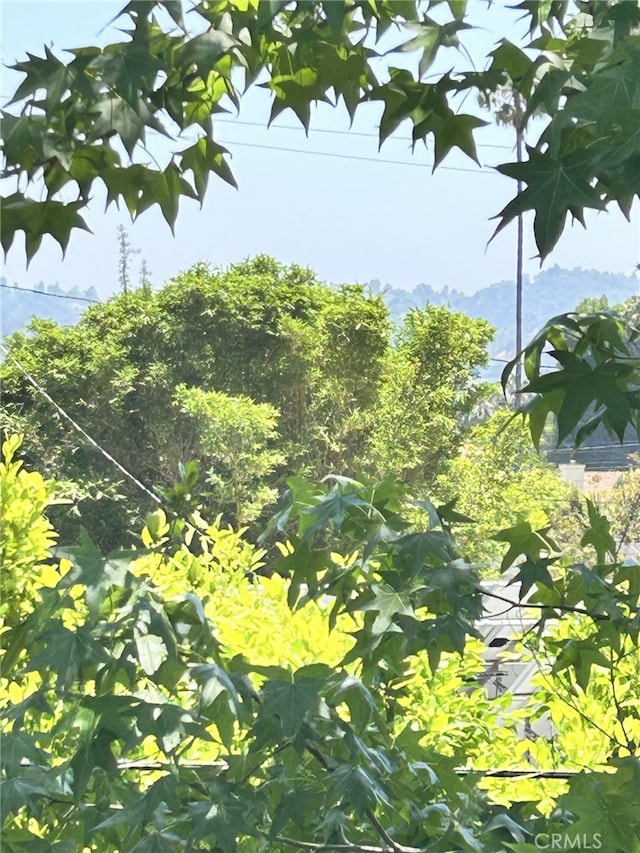 12330 Magnolia Blvd Unit 108, Valley Village, CA 91607 - view of local wilderness featuring a mountain backdrop