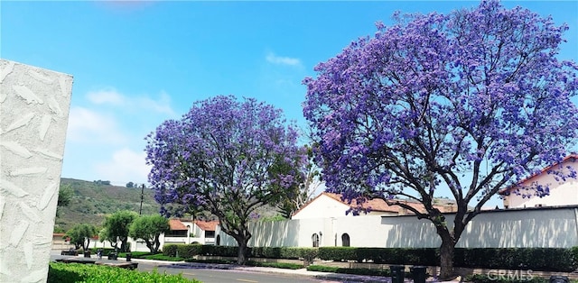 30828 Calle Chueca, San Juan Capistrano, CA 92675 - view of building exterior