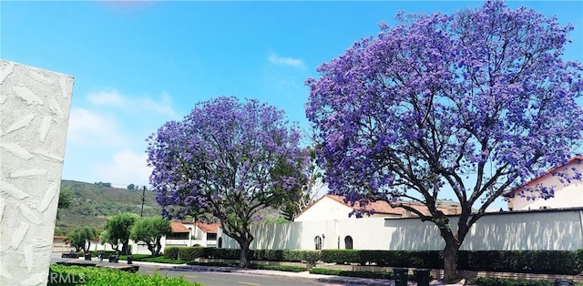 30828 Calle Chueca, San Juan Capistrano, CA 92675 - view of property