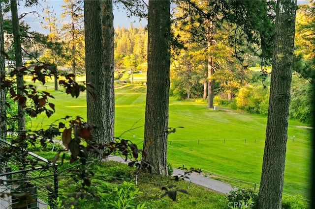 361 Riviera Dr, Lake Arrowhead, CA 92352 - surrounding community