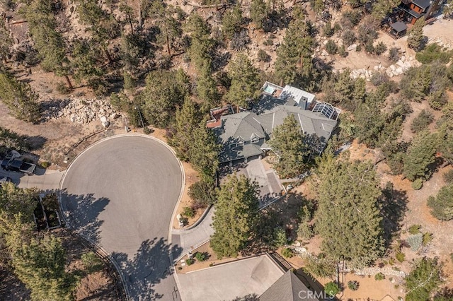 255 Echo Hill Rd, Big Bear Lake, CA 92315 - photo 66