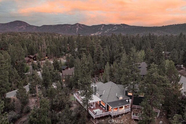 255 Echo Hill Rd, Big Bear Lake, CA 92315 - photo 52